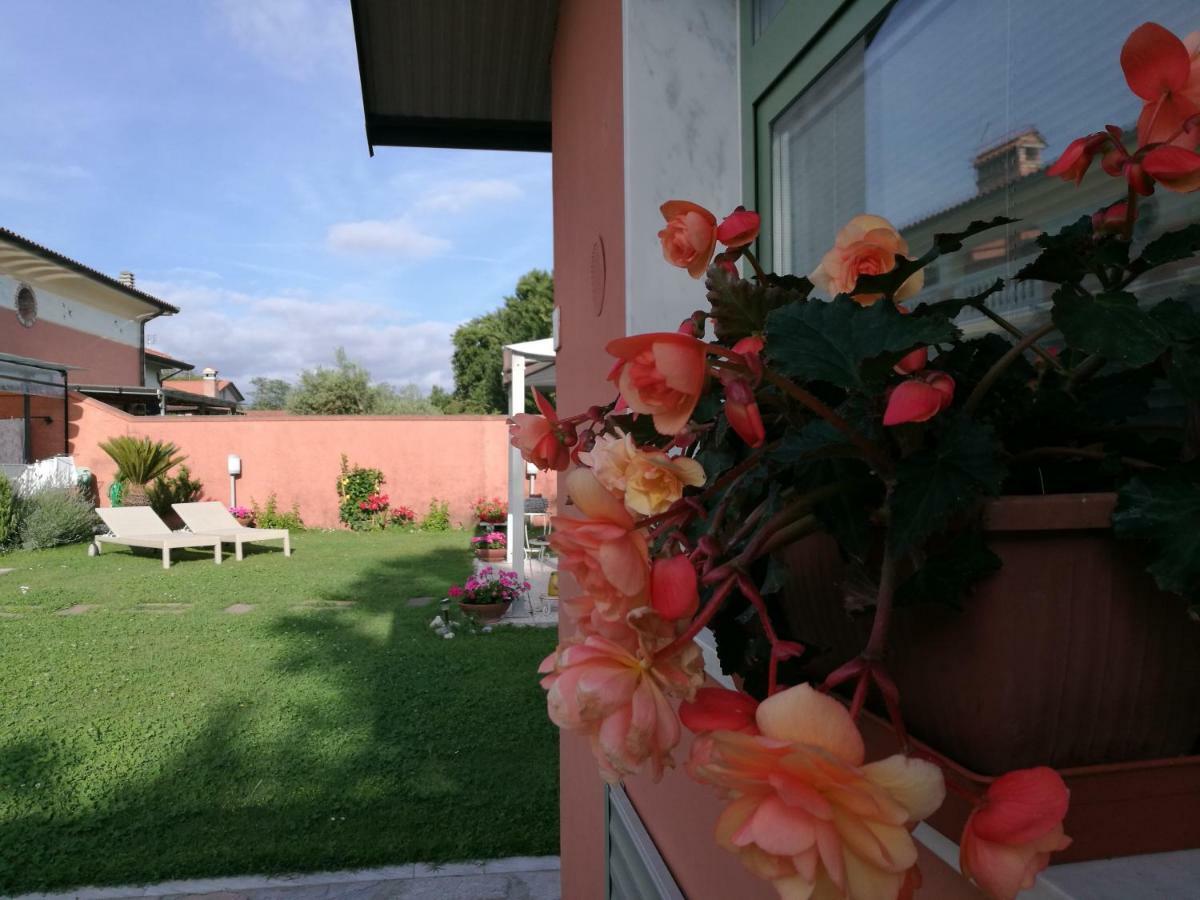 Giusy Bed And Breakfast Марина-ді-Каррара Екстер'єр фото